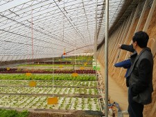 種養結合循環農業建設的重要性和緊迫性